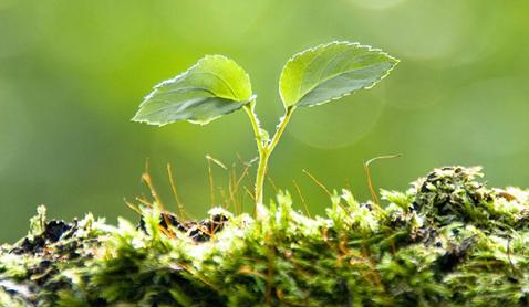 資源再生是對生命的負責 資源再生是對生命的負責